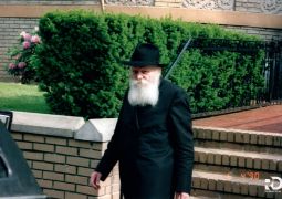 לקבל חיות חדשה